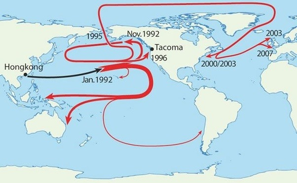 Ou este, encontrado na Wikipedia, que mostra a trajetória dos patinhos de borracha que estavam em um navio naufragado no Pacífico.